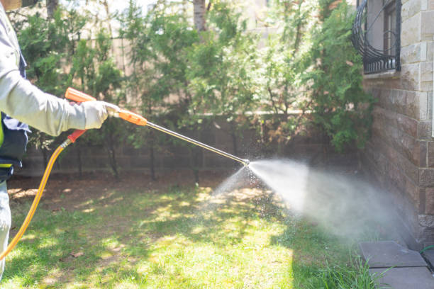 Best Termite Control Services  in Quitman, GA