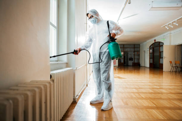 Best Flea Control Services  in Quitman, GA